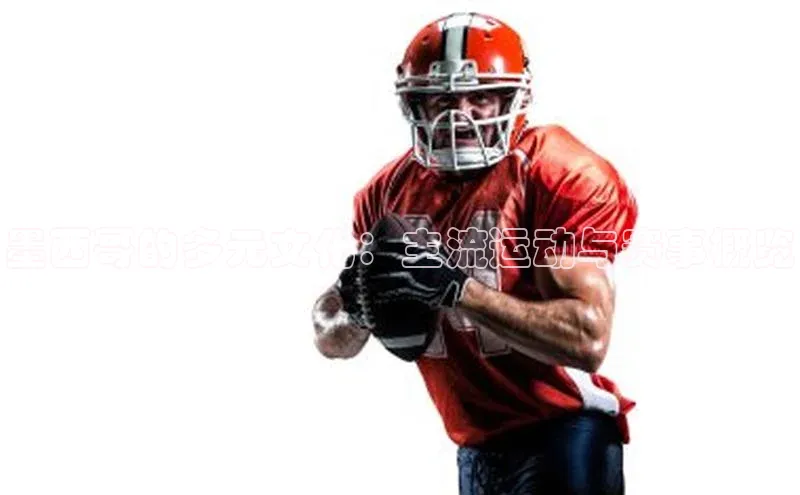 天辰平台注册官网观星盘墨西哥的多元文化：主流运动与赛事概览