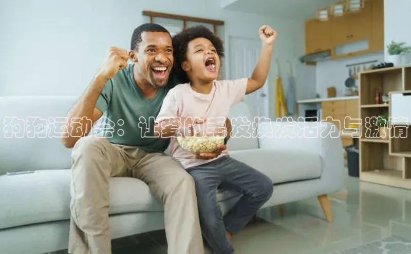 天辰平台测速登录百度游戏开放平台狗狗运动会：让爱的毛发焕发活力与激情