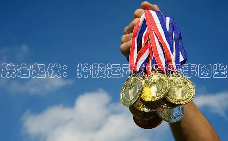 跌宕起伏：摔跤运动体育赛事图鉴