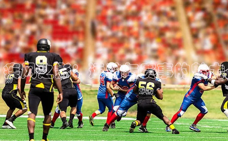 疾风之影：运动与赛事的魅力