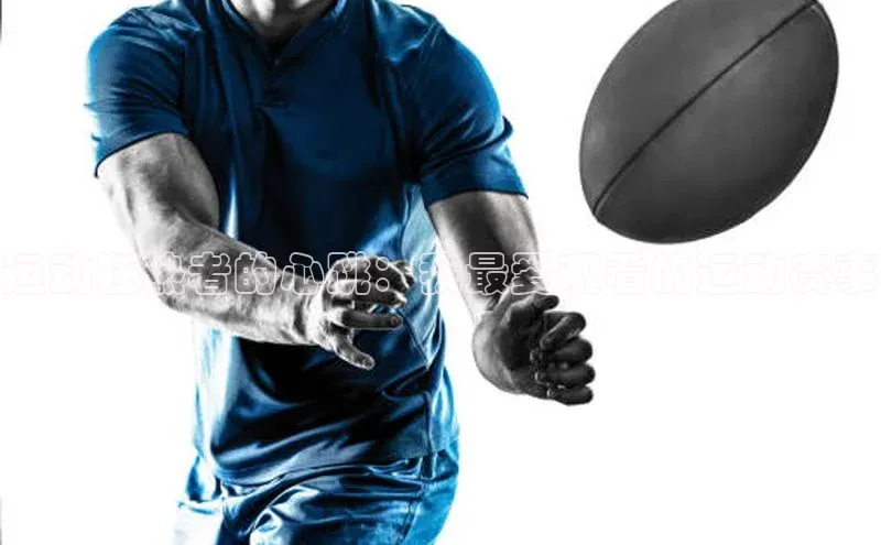 运动狂热者的心跳：我最爱观看的运动赛事