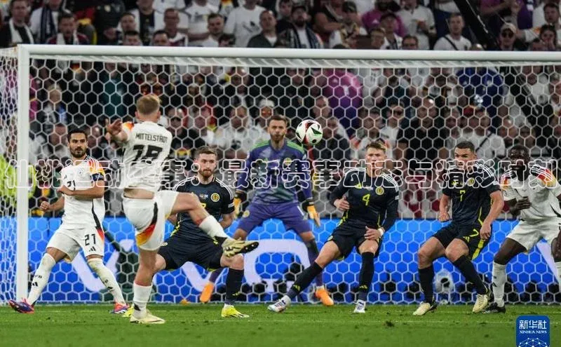 仙桃运动盛事：最新赛事动态与精彩时刻