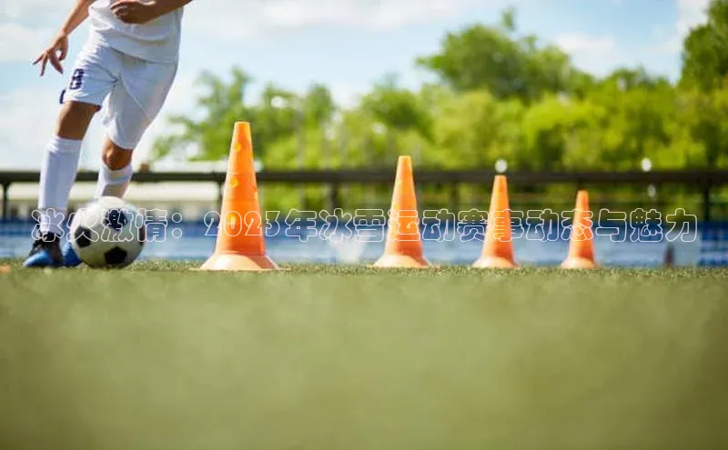 冰火激情：2023年冰雪运动赛事动态与魅力