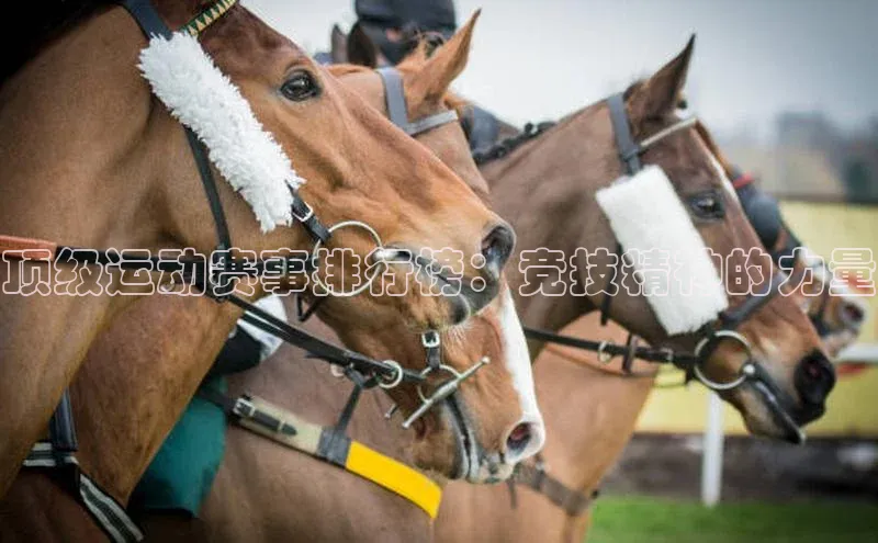 顶级运动赛事排行榜：竞技精神的力量