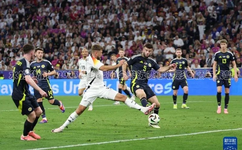 水的激情：2023佛山运动会游泳赛事精彩回顾与展望