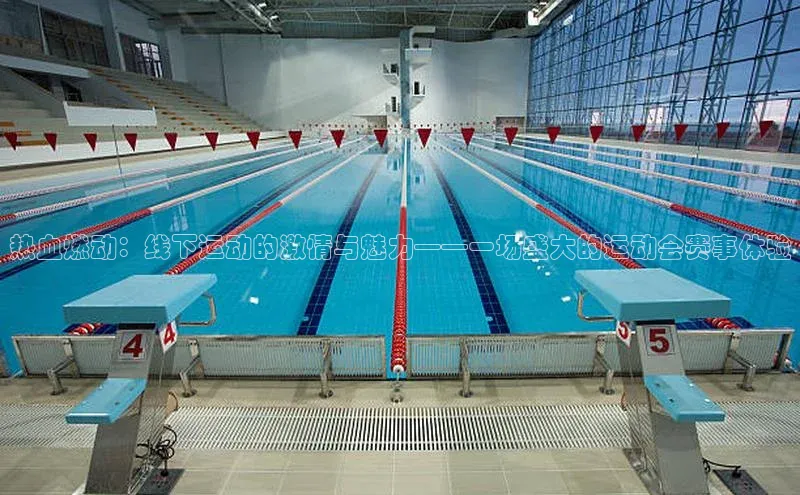 热血燃动：线下运动的激情与魅力——一场盛大的运动会赛事体验