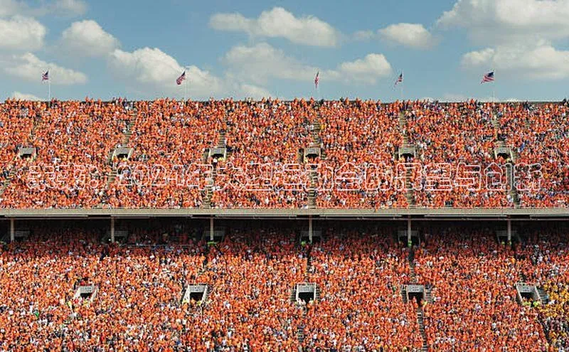 未来：2024年大型运动会的展望与创新